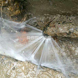 嘉鱼消防管道漏水检测